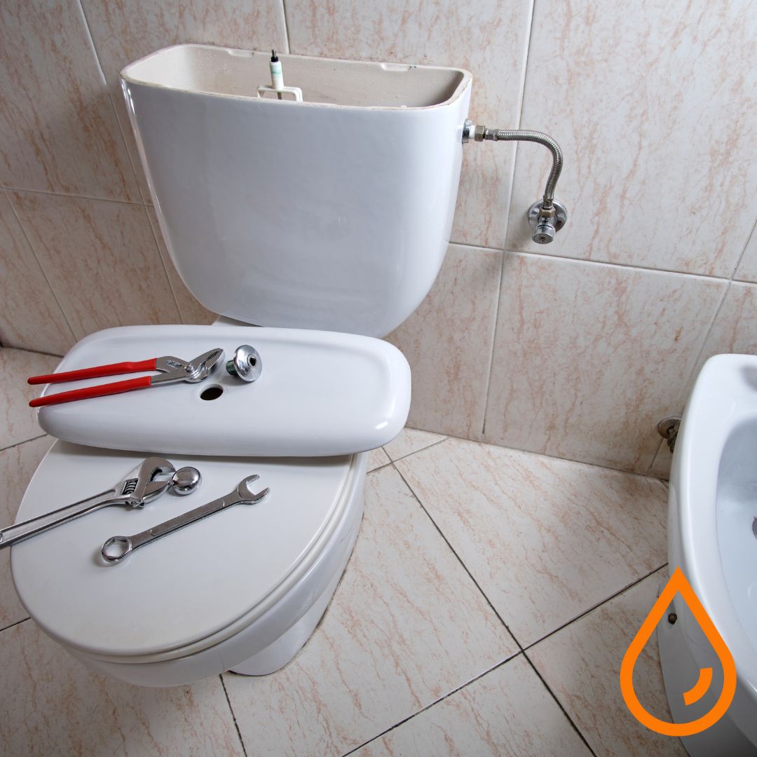 Professional Toilet Repair & Installation Services in Dallas, Texas | The Plumbing Pros